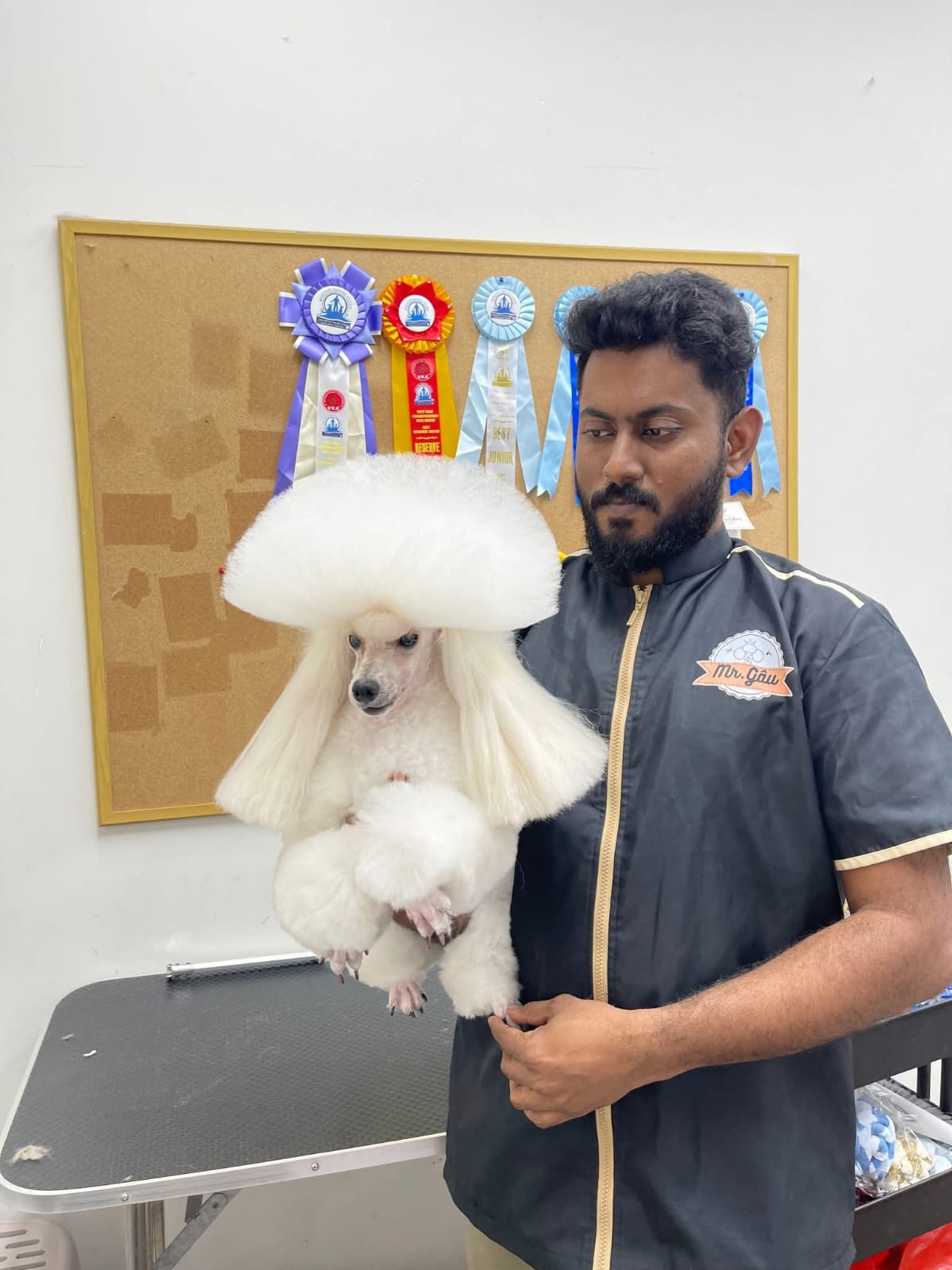Pet wellness grooming